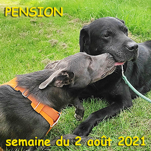 pension semaine du 3 aout 21